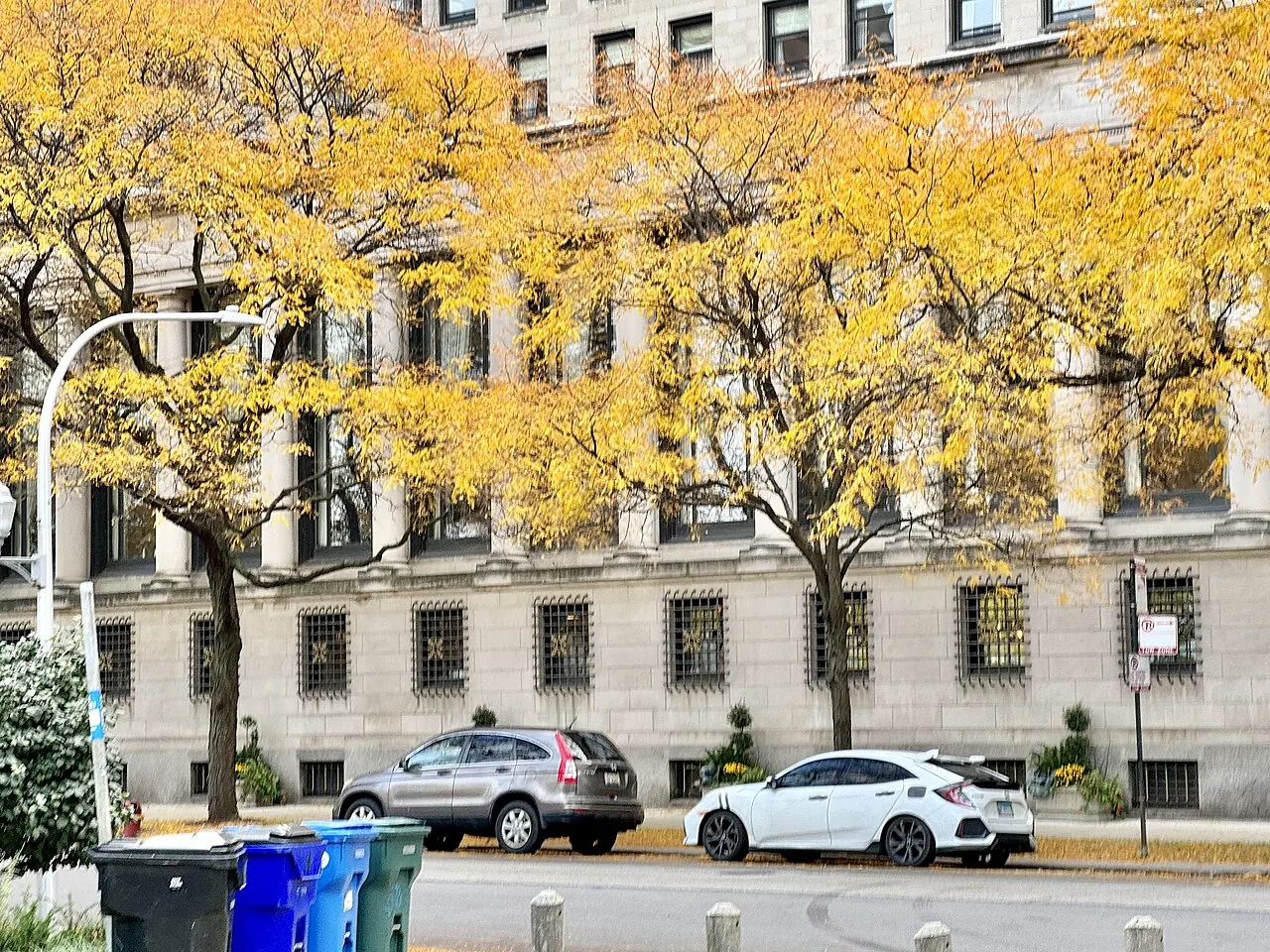 The Drake Hotel, Chicago: Drake Hotel, Michigan Avenue, Streeterville, Chicago, IL